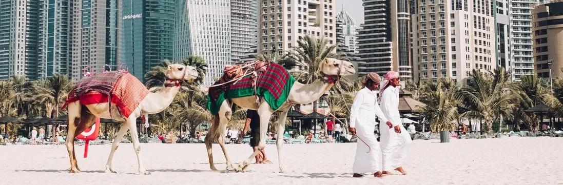 DHA medical typing centres in Dubai — many processes are now online
