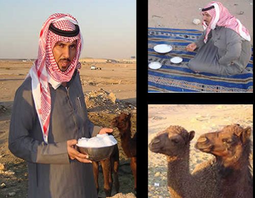 Camel Milk Ice Creams to hit markets soon