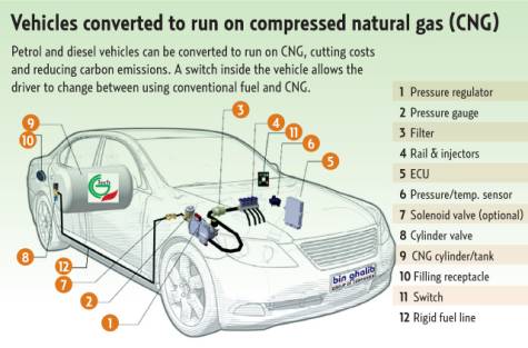 CNG to be used in UAE public transport