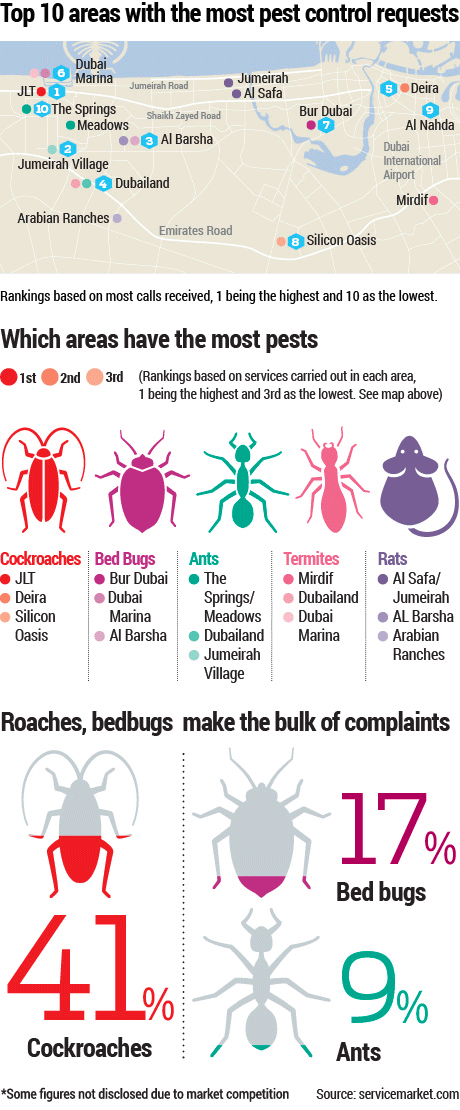 Residents Beware: Here are the Most Pest Infested Areas in Dubai